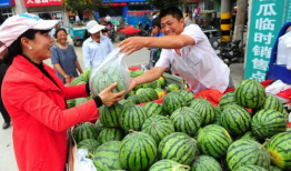 金乡吃瓜网51爆料金乡,揭秘金乡热点事件背后的真相！